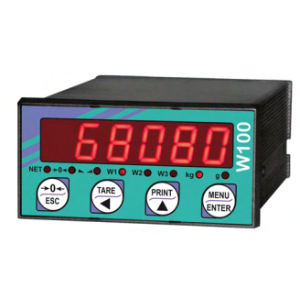 Fiche Technique  indicateur W100 ANA